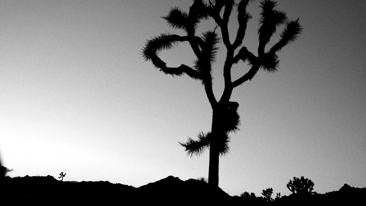 Mehr über den Artikel erfahren Silence Fotografie